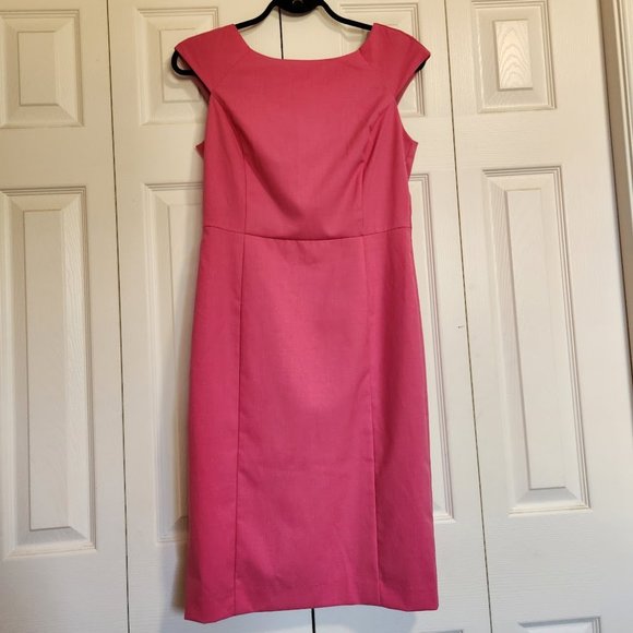Banana Republic Simply Elegant Pink Dress size 6P - Picture 1 of 6